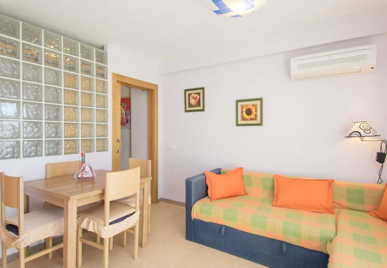 Studio in Guardamar - 054 Pinomar Holiday - Alicante Real Estate