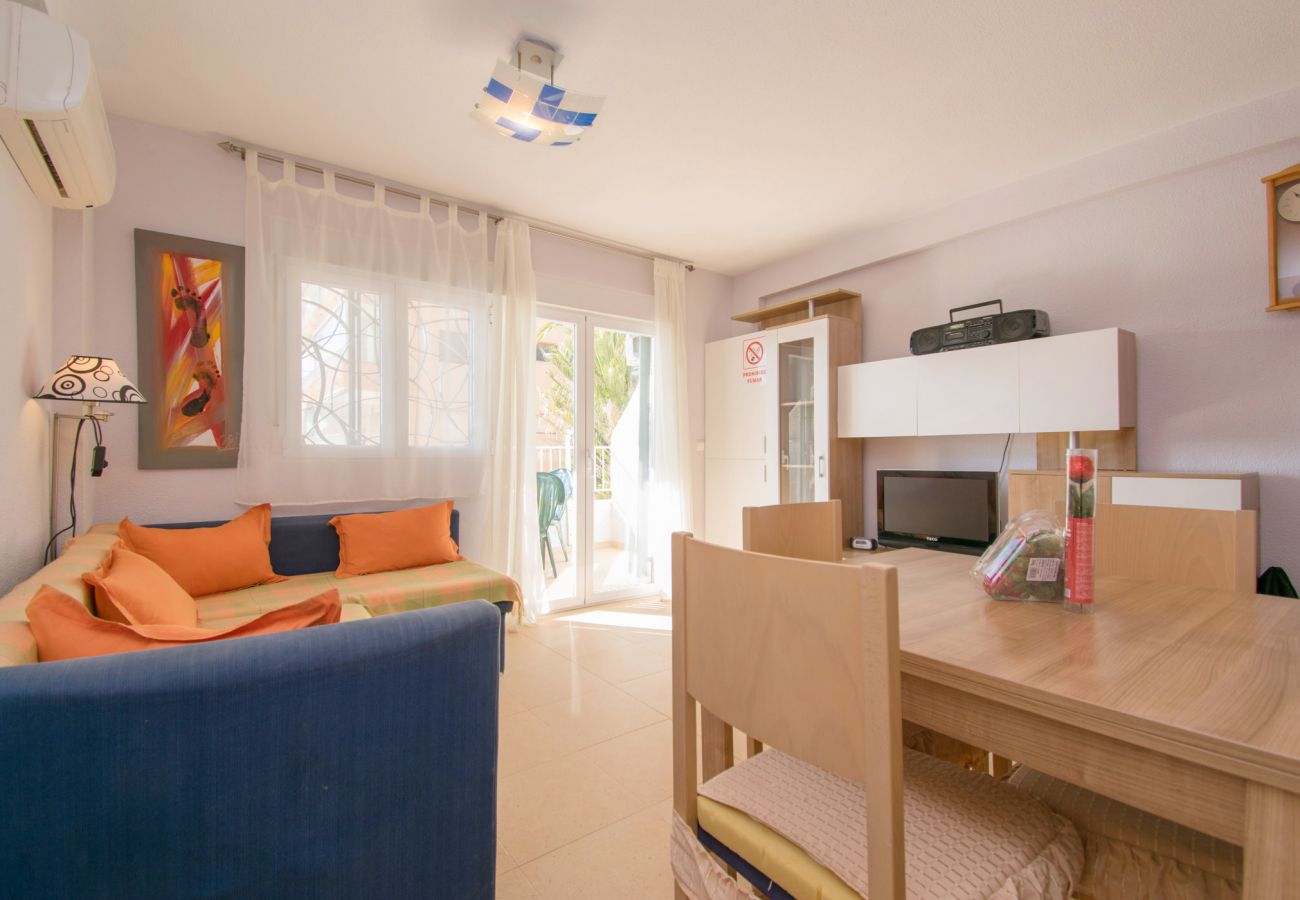 Studio in Guardamar - 054 Pinomar Holiday - Alicante Real Estate