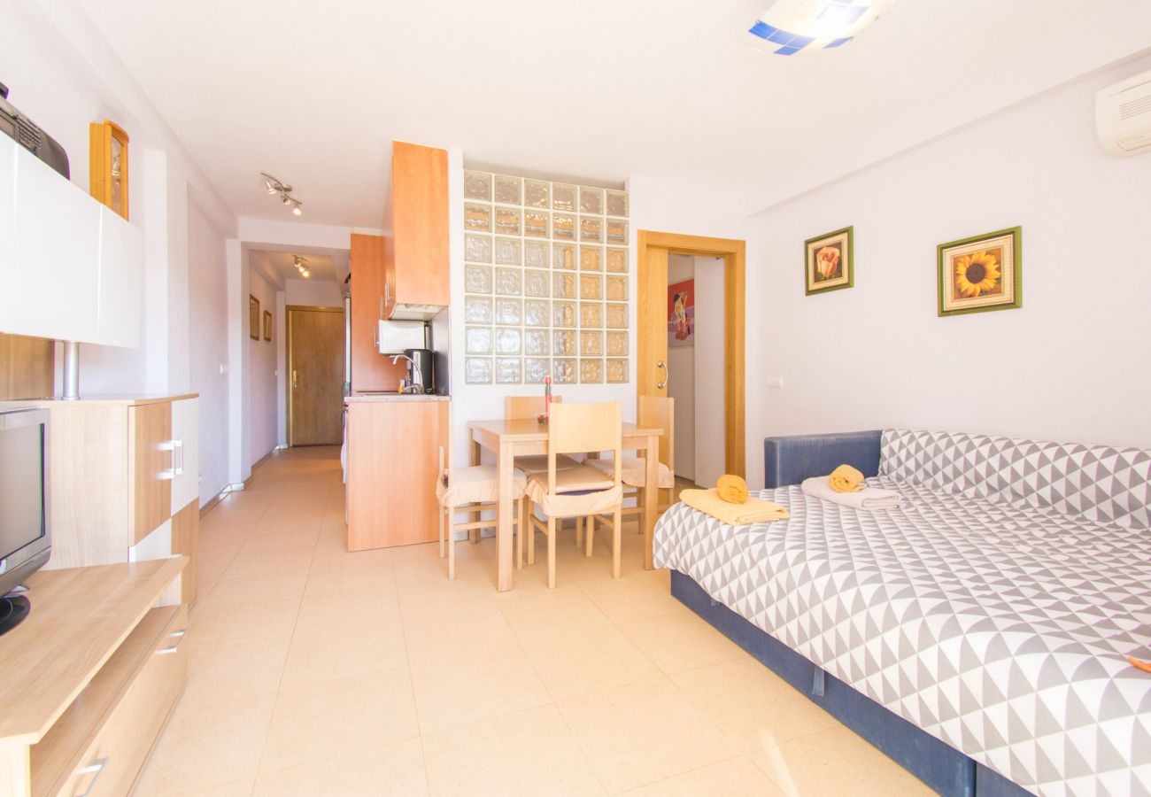 Studio in Guardamar - 054 Pinomar Holiday - Alicante Real Estate