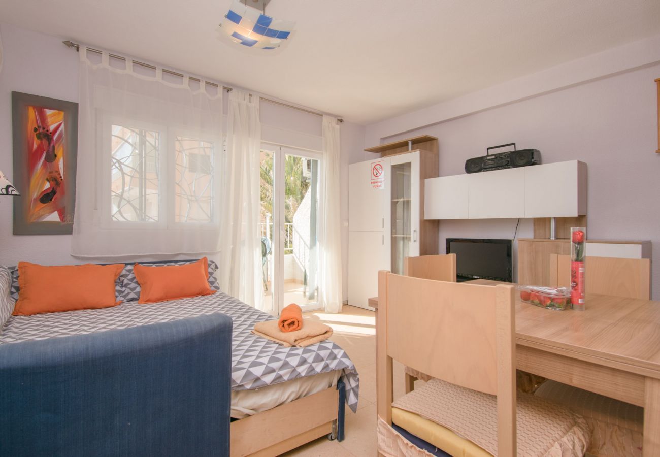 Studio in Guardamar - 054 Pinomar Holiday - Alicante Real Estate