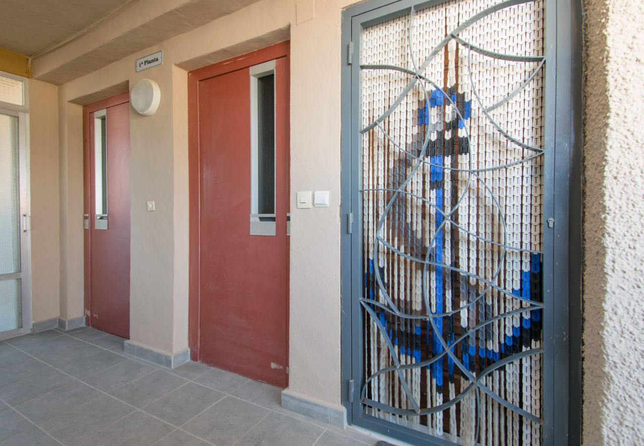 Studio in Guardamar - 054 Pinomar Holiday - Alicante Real Estate