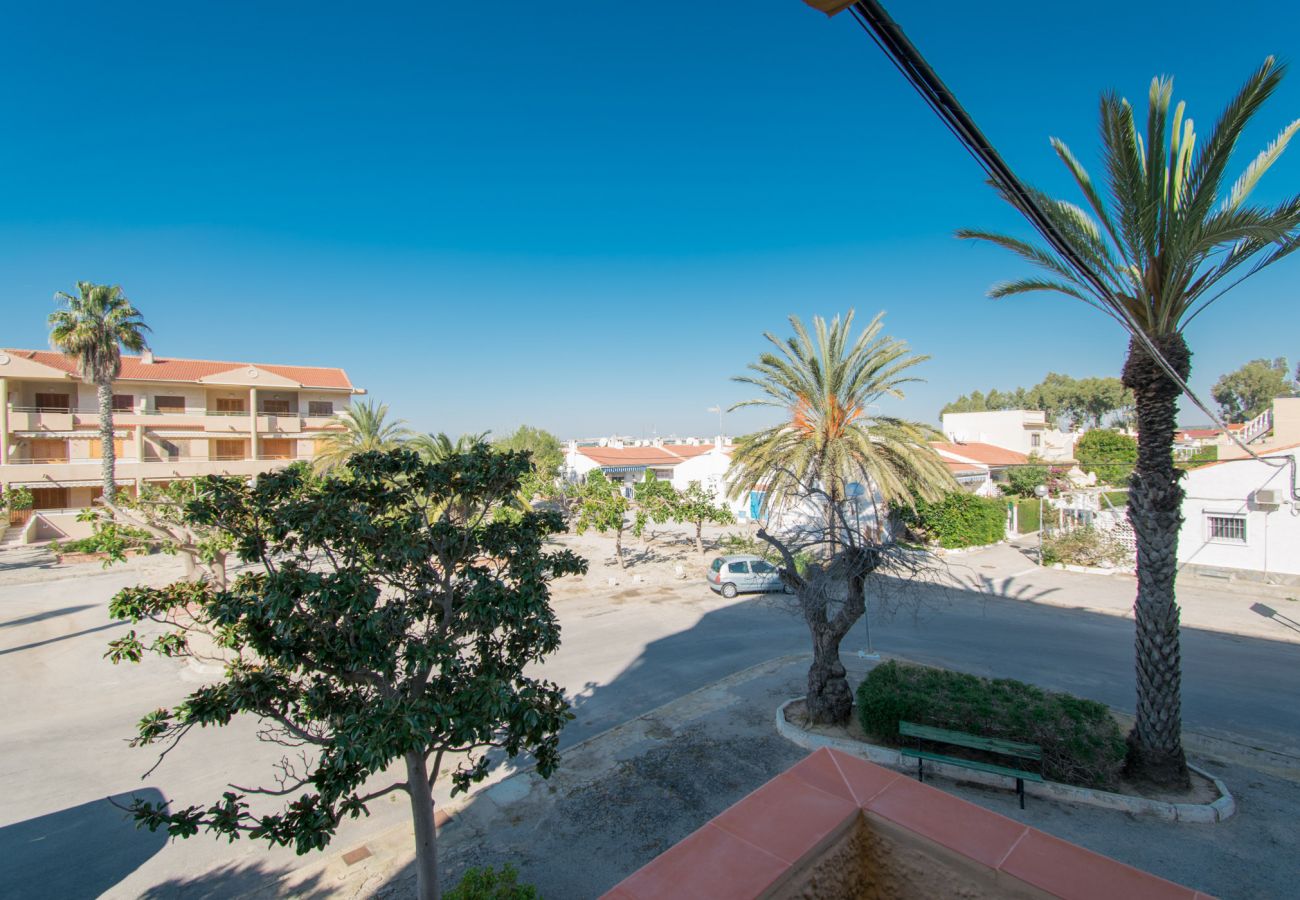 Studio in Guardamar - 054 Pinomar Holiday - Alicante Real Estate