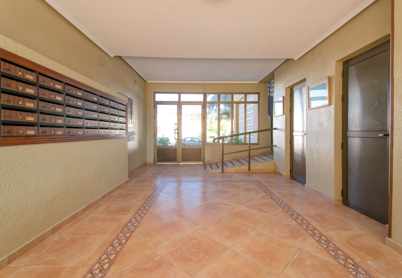 Studio in Guardamar - 054 Pinomar Holiday - Alicante Real Estate