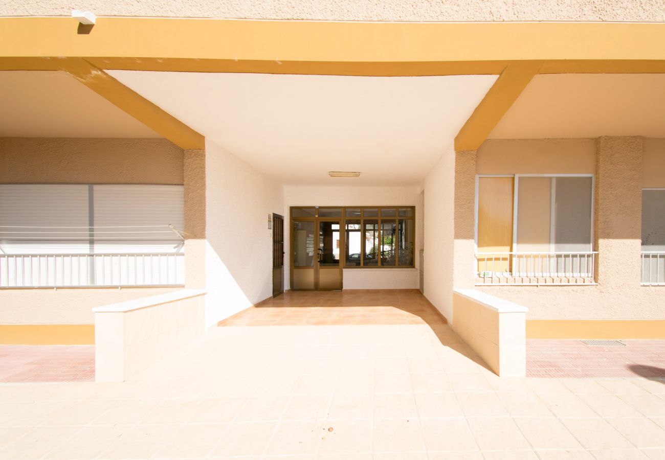 Studio in Guardamar - 054 Pinomar Holiday - Alicante Real Estate