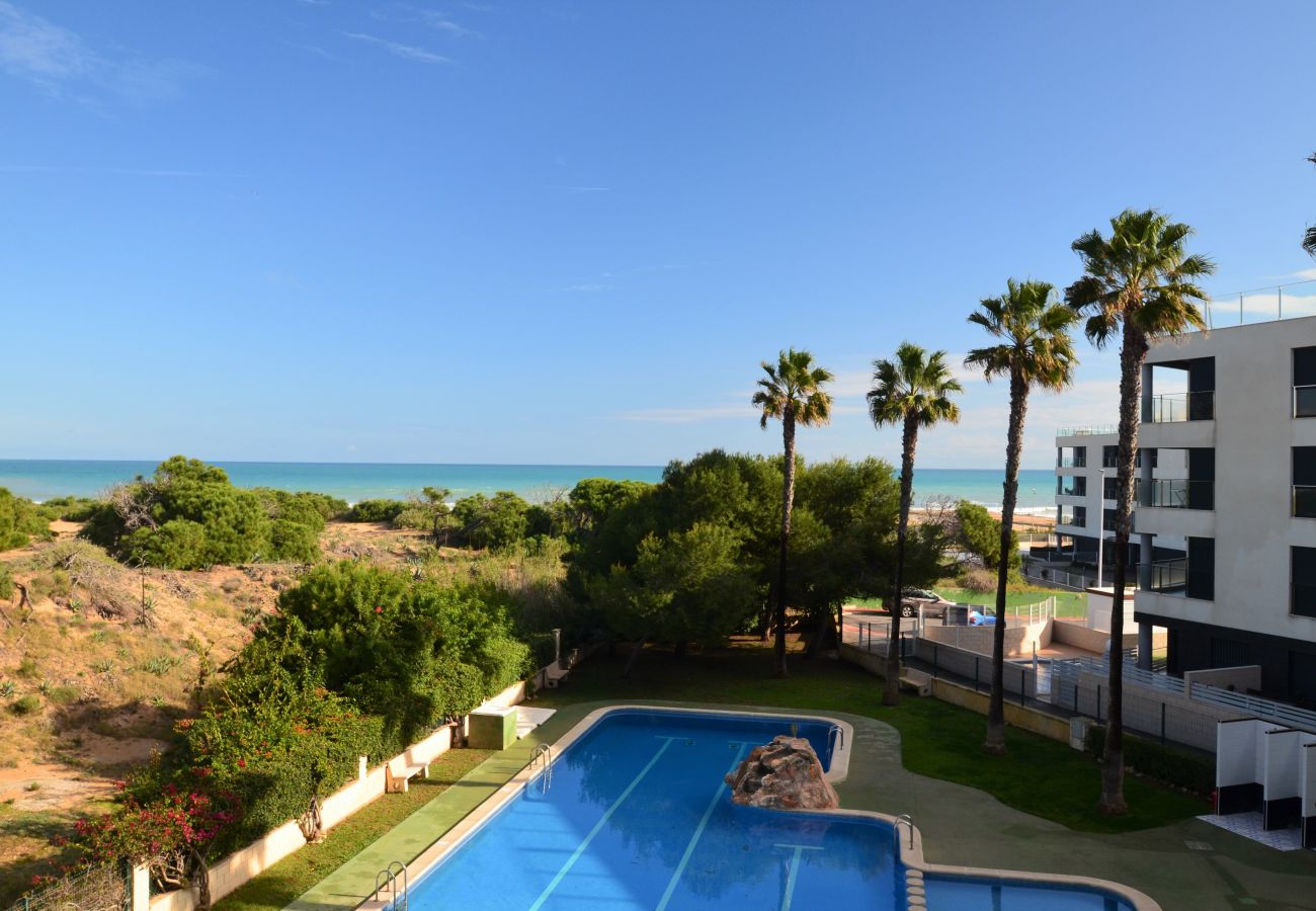 Apartment in La Mata - 055 Paradise Vacation - AC/WIFI