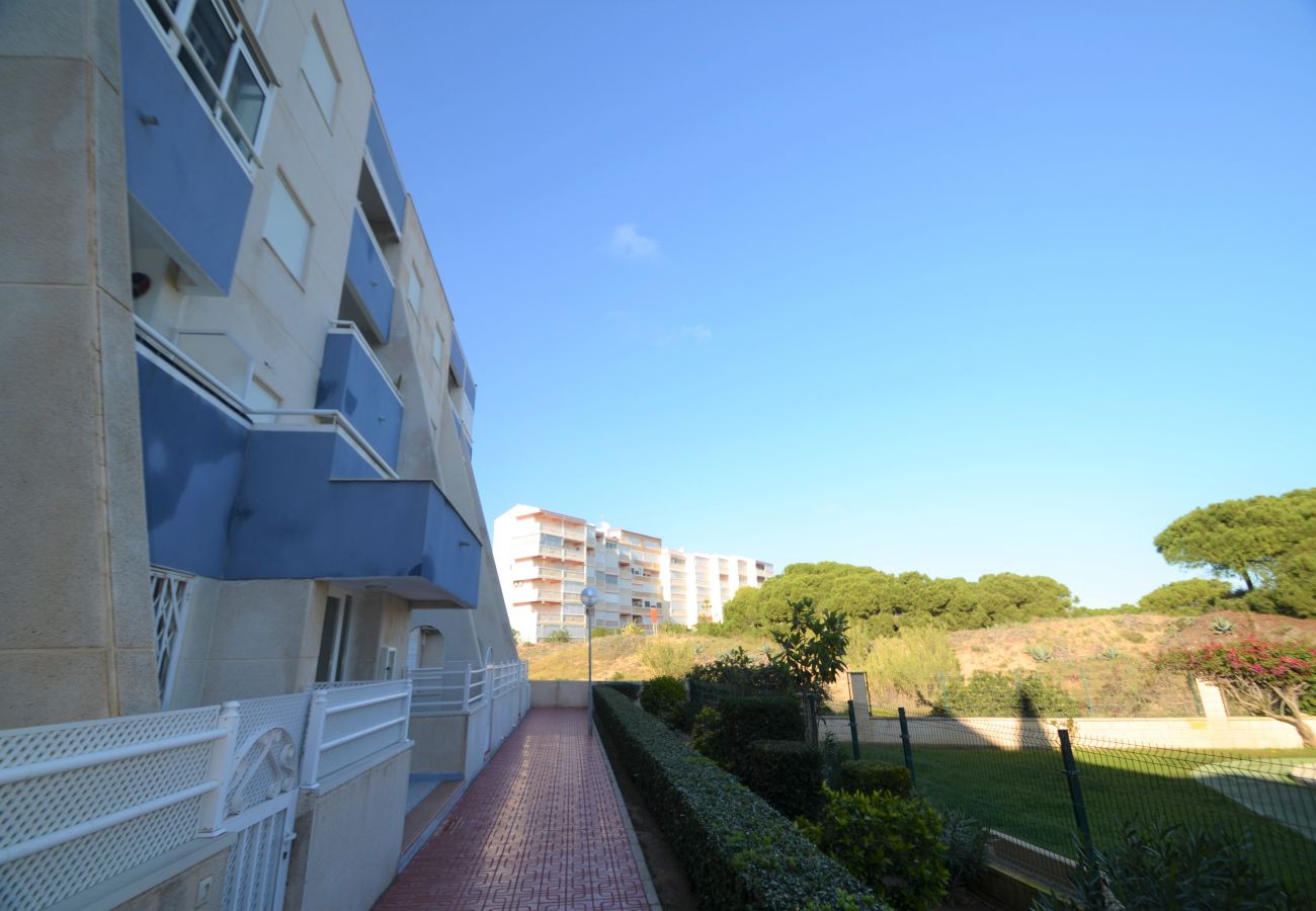 Apartment in La Mata - 055 Paradise Vacation - AC/WIFI