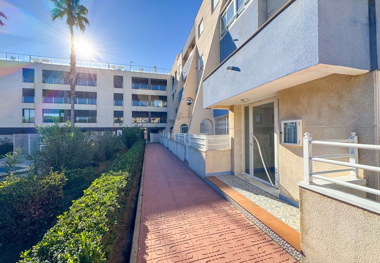 Apartment in La Mata - 055 Paradise Vacation - AC/WIFI