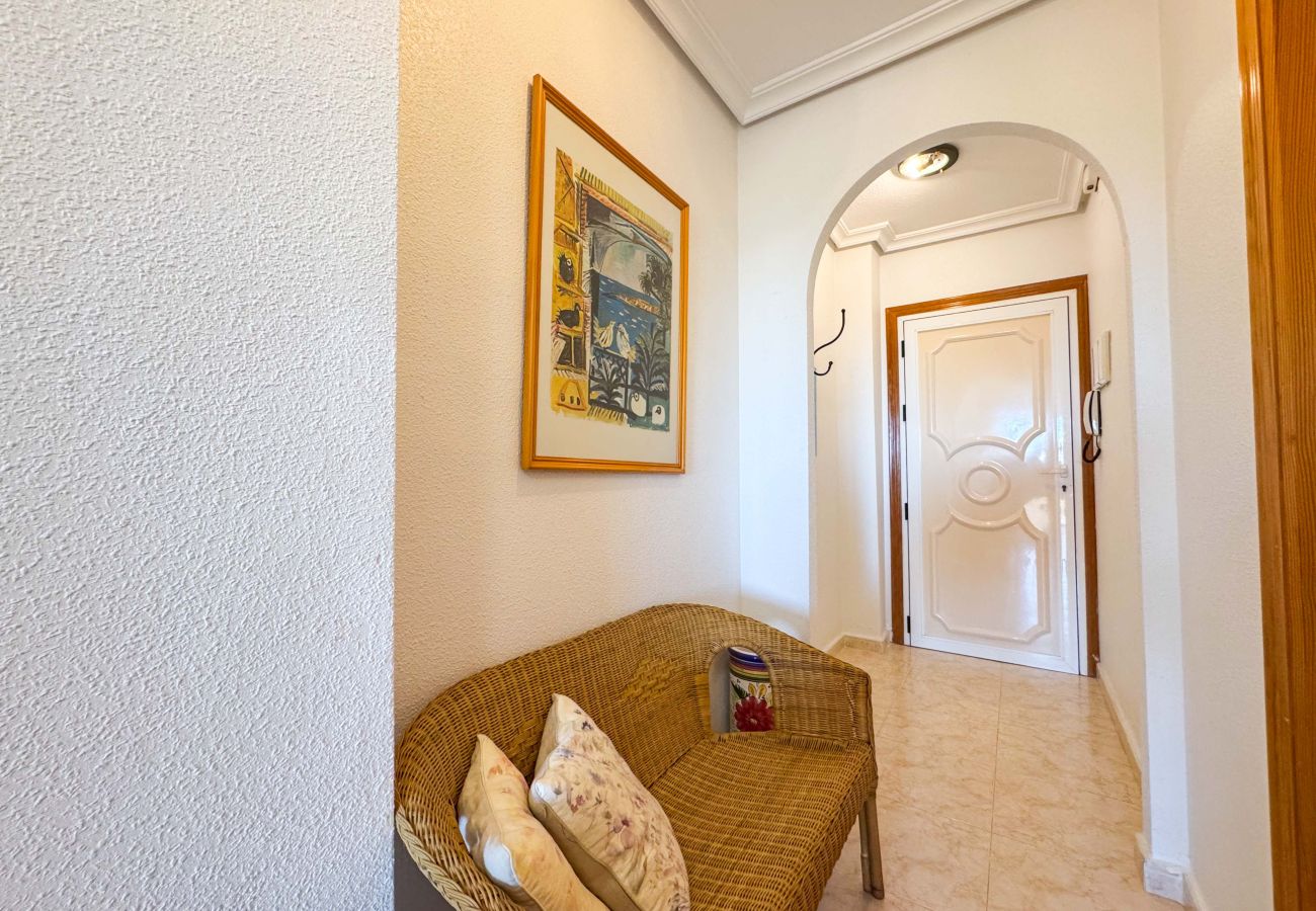 Apartment in La Mata - 055 Paradise Vacation - AC/WIFI