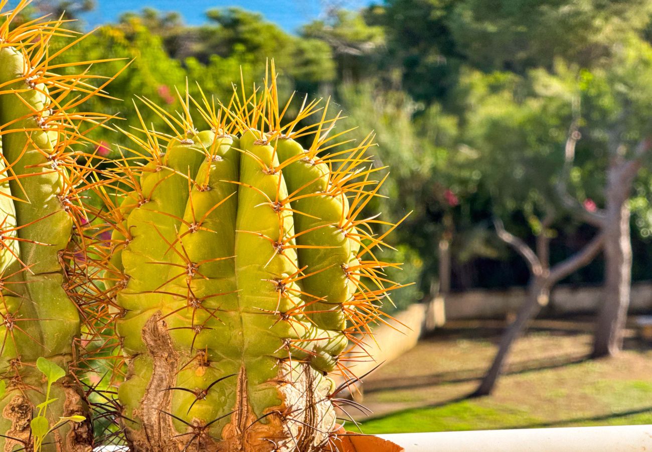 Apartment in La Mata - 055 Paradise Vacation - AC/WIFI