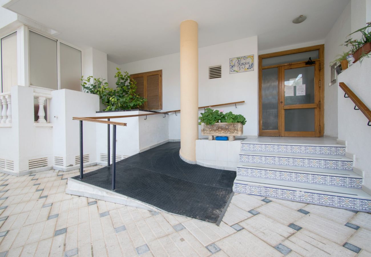 Apartment in La Mata - 086 Palm Sun - Alicante Holiday