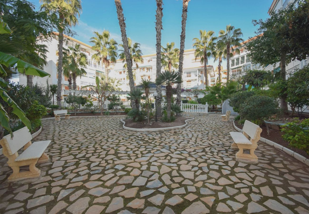 Apartment in La Mata - 086 Palm Sun - Alicante Holiday