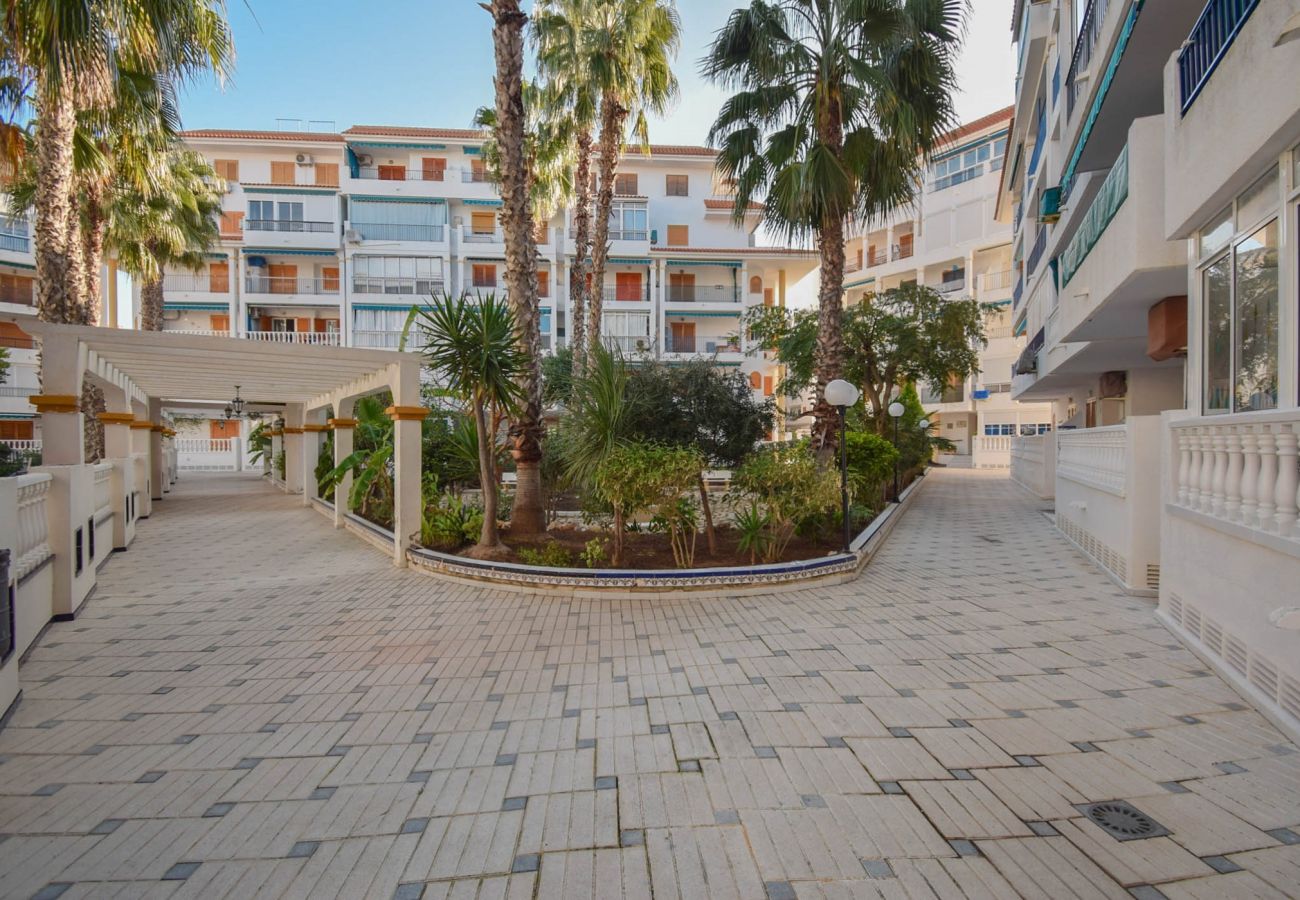 Apartment in La Mata - 086 Palm Sun - Alicante Holiday