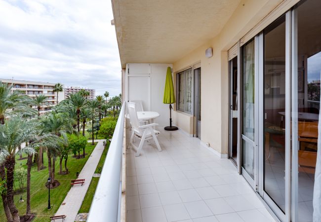 Apartment in Torrevieja - 093 - Mil Palmeras Dream Apartment in Torrevieja - 093 - Mil Palmeras Dream