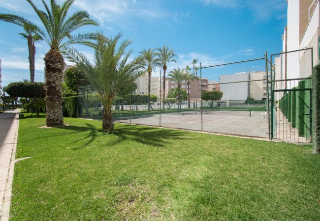 Apartment in Torrevieja - 093 - Mil Palmeras Dream Apartment in Torrevieja - 093 - Mil Palmeras Dream