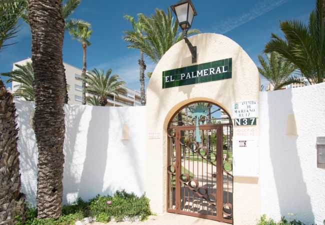 Apartment in Torrevieja - 093 - Mil Palmeras Dream Apartment in Torrevieja - 093 - Mil Palmeras Dream