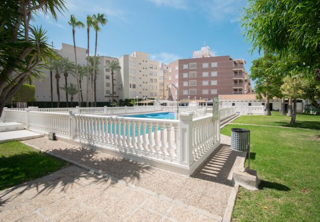 Apartment in Torrevieja - 093 - Mil Palmeras Dream Apartment in Torrevieja - 093 - Mil Palmeras Dream