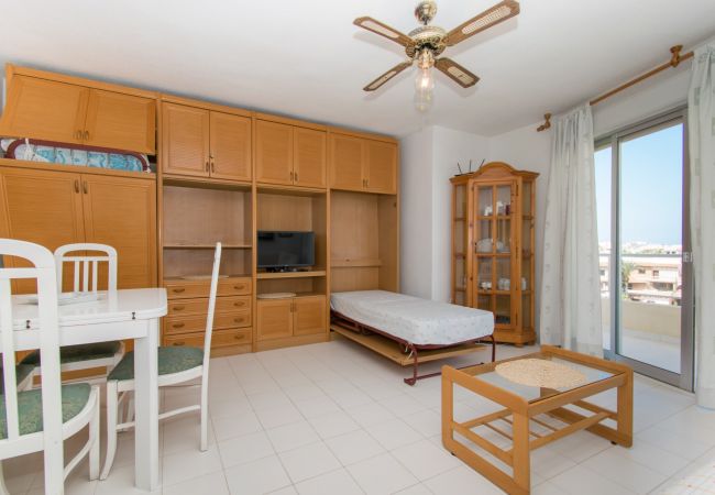 Apartment in Torrevieja - 093 - Mil Palmeras Dream Apartment in Torrevieja - 093 - Mil Palmeras Dream