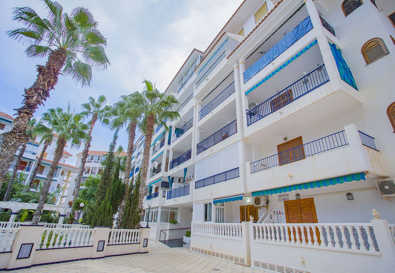 Apartment in La Mata - 102 Sol La Mata - Alicante Holiday