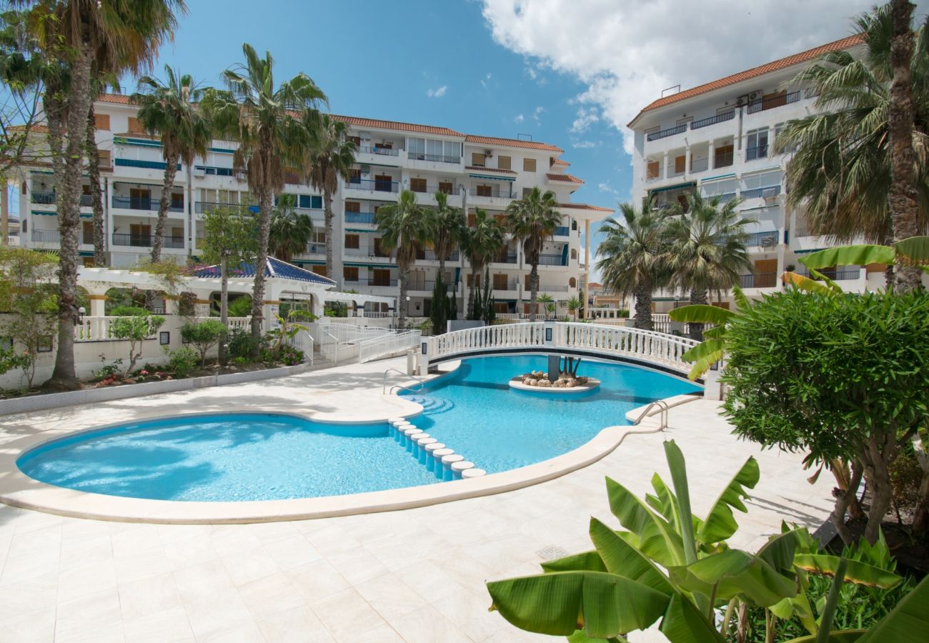 Apartment in La Mata - 110 Beautiful La Mata - Alicante Holiday
