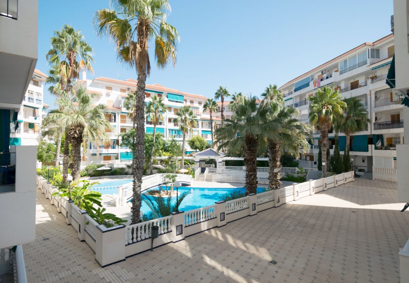 Apartment in La Mata - 110 Beautiful La Mata - Alicante Holiday