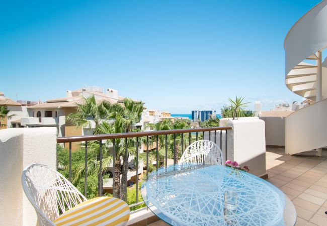 Apartment in Torrevieja - 214 Panorama Park - Alicante Holiday