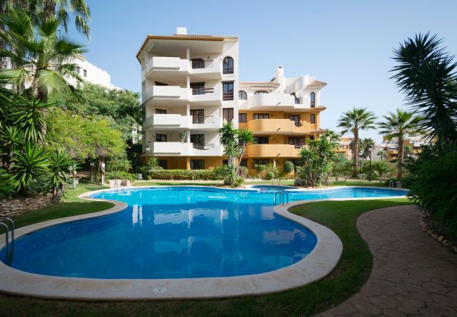 Apartment in Torrevieja - 214 Panorama Park - Alicante Holiday