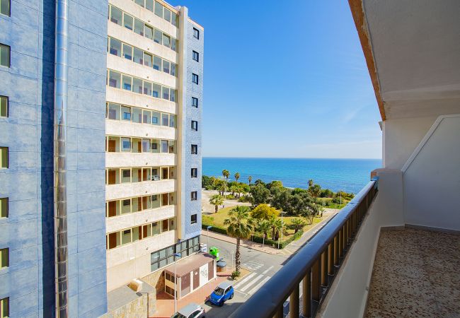 Apartment in Torrevieja - 106 Economy Sea View - Alicante Holiday