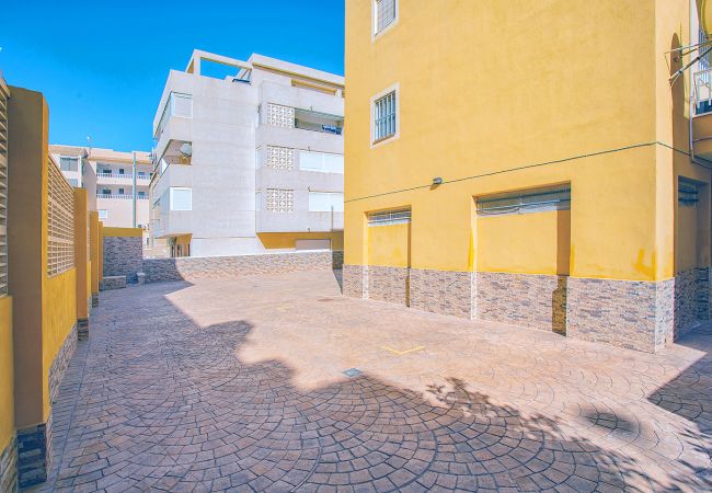 Apartment in La Mata - Limpieza XX130 Sur Sea - Alicante Holiday Apartment in La Mata - Limpieza XX130 Sur Sea - Alicante Holiday