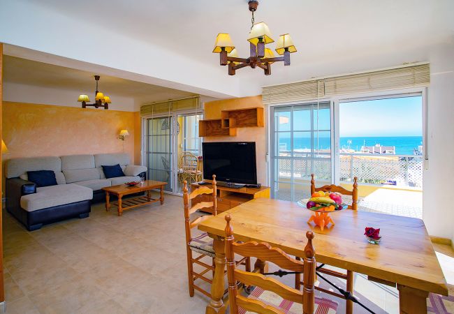 Apartment in La Mata - Limpieza XX130 Sur Sea - Alicante Holiday Apartment in La Mata - Limpieza XX130 Sur Sea - Alicante Holiday