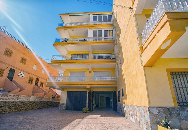 Apartment in La Mata - Limpieza XX130 Sur Sea - Alicante Holiday Apartment in La Mata - Limpieza XX130 Sur Sea - Alicante Holiday