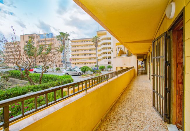 Apartment in La Mata - 047 Beautiful Miramar View - Alicante Holiday Apartment in La Mata - 047 Beautiful Miramar View - Alicante Holiday