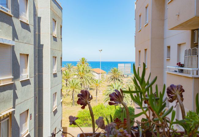 Torrevieja - Apartment