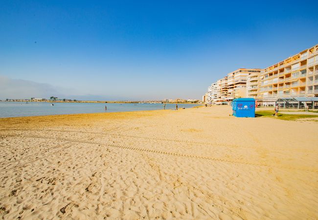 Apartment in Torrevieja - 134 Urbano Chill - Alicante Holiday