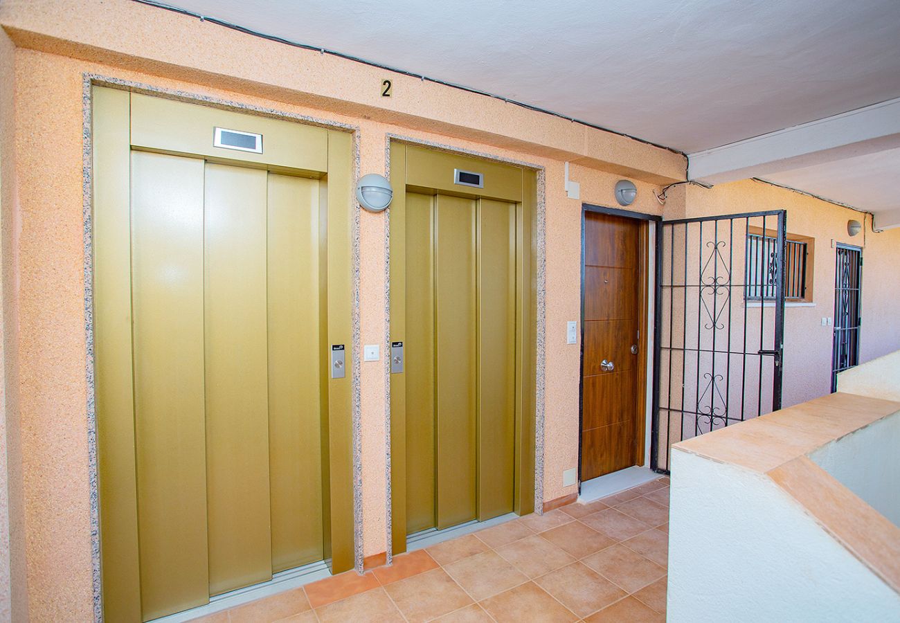Apartment in Guardamar - 067 Peaceful Green Paradise - Alicante Holiday