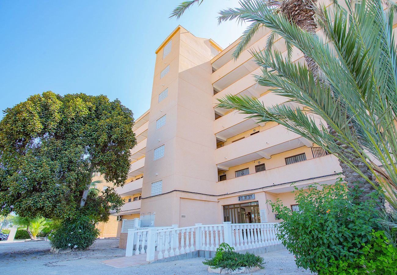 Apartment in Guardamar - 067 Peaceful Green Paradise - Alicante Holiday