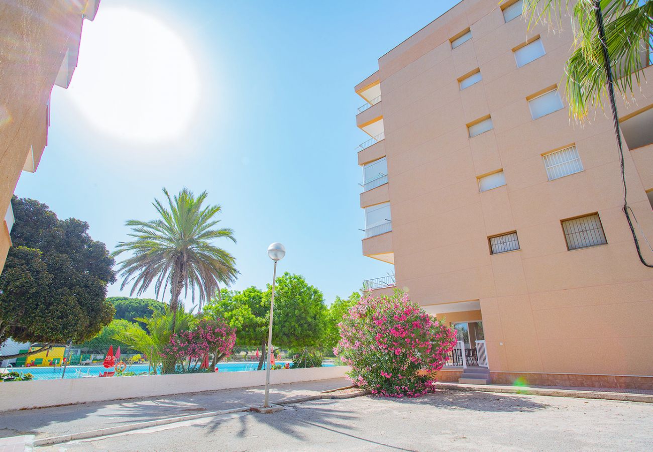 Apartment in La Mata - 068 Pino Relax - Alicante Holiday