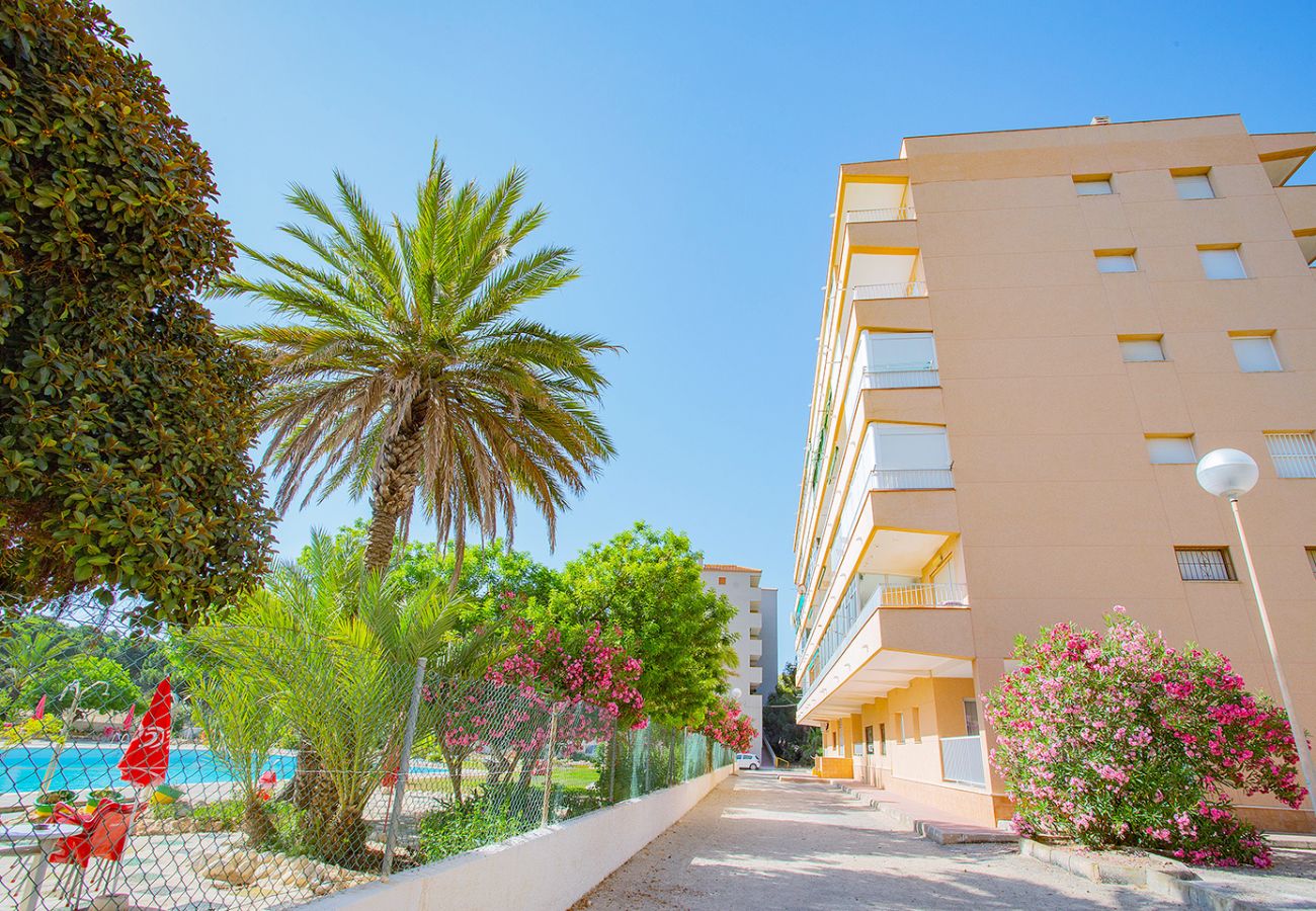 Apartment in La Mata - 068 Pino Relax - Alicante Holiday