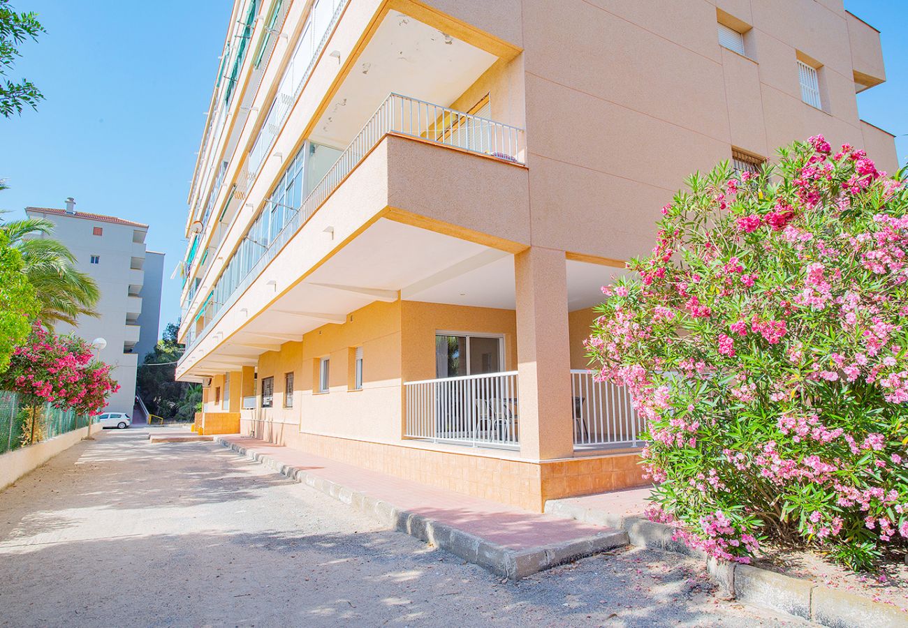 Apartment in La Mata - 068 Pino Relax - Alicante Holiday