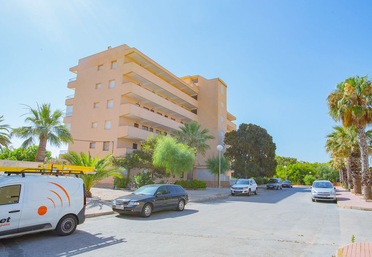 Apartment in La Mata - 068 Pino Relax - Alicante Holiday