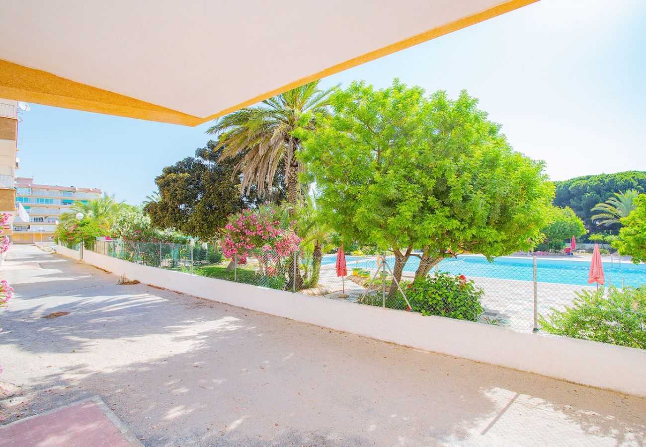 Apartment in La Mata - 068 Pino Relax - Alicante Holiday