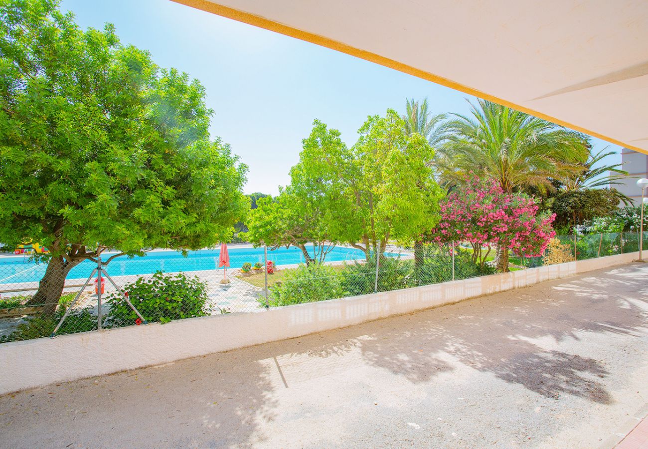 Apartment in La Mata - 068 Pino Relax - Alicante Holiday