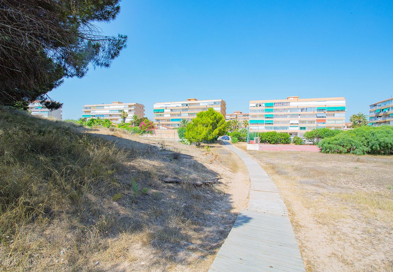 Apartment in La Mata - 068 Pino Relax - Alicante Holiday