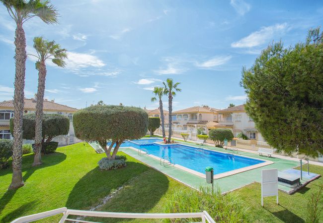 Torrevieja - Apartment