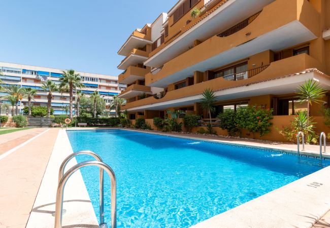 Apartment in Torrevieja - 222 Lovely 3  Pools Home - Alicante Holiday