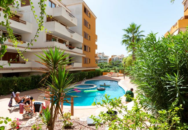 Apartment in Torrevieja - 222 Lovely 3  Pools Home - Alicante Holiday