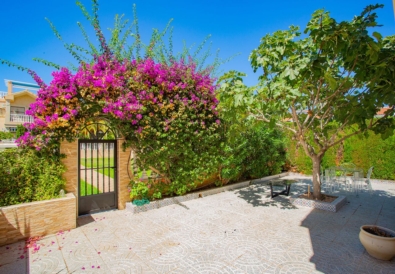 Bungalow in Torrevieja - 080 Family Garden House - Alicante Holiday