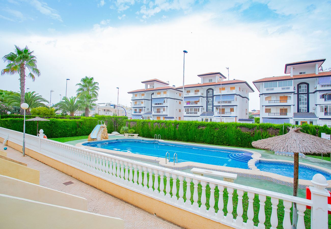 Bungalow in Torrevieja - 080 Family Garden House - Alicante Holiday