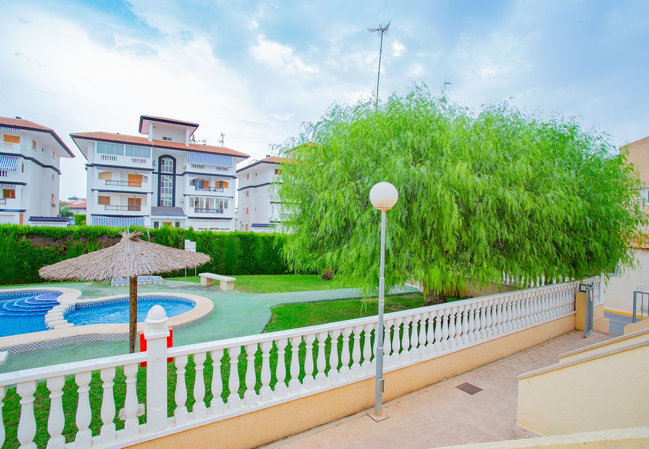 Bungalow in Torrevieja - 080 Family Garden House - Alicante Holiday