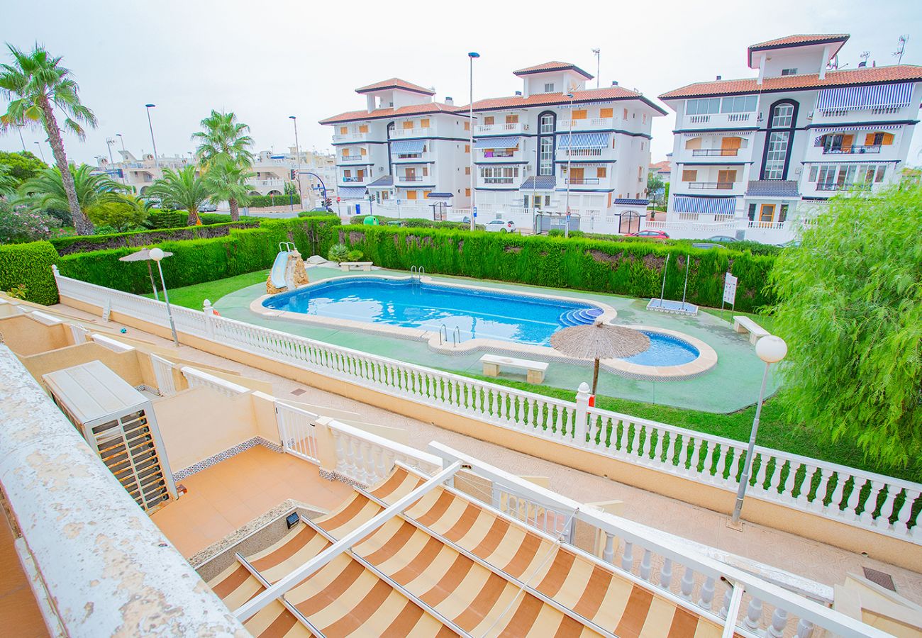 Bungalow in Torrevieja - 080 Family Garden House - Alicante Holiday