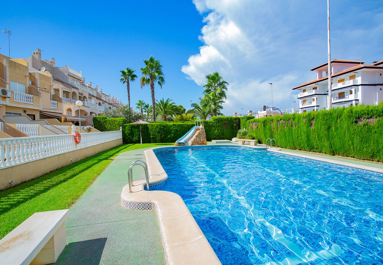 Bungalow in Torrevieja - 080 Family Garden House - Alicante Holiday